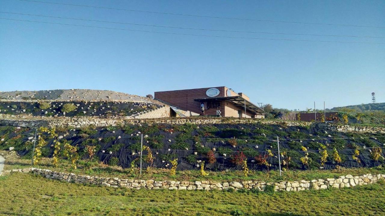 Penzion U Vinarstvi Sabata Zajeci Exterior photo